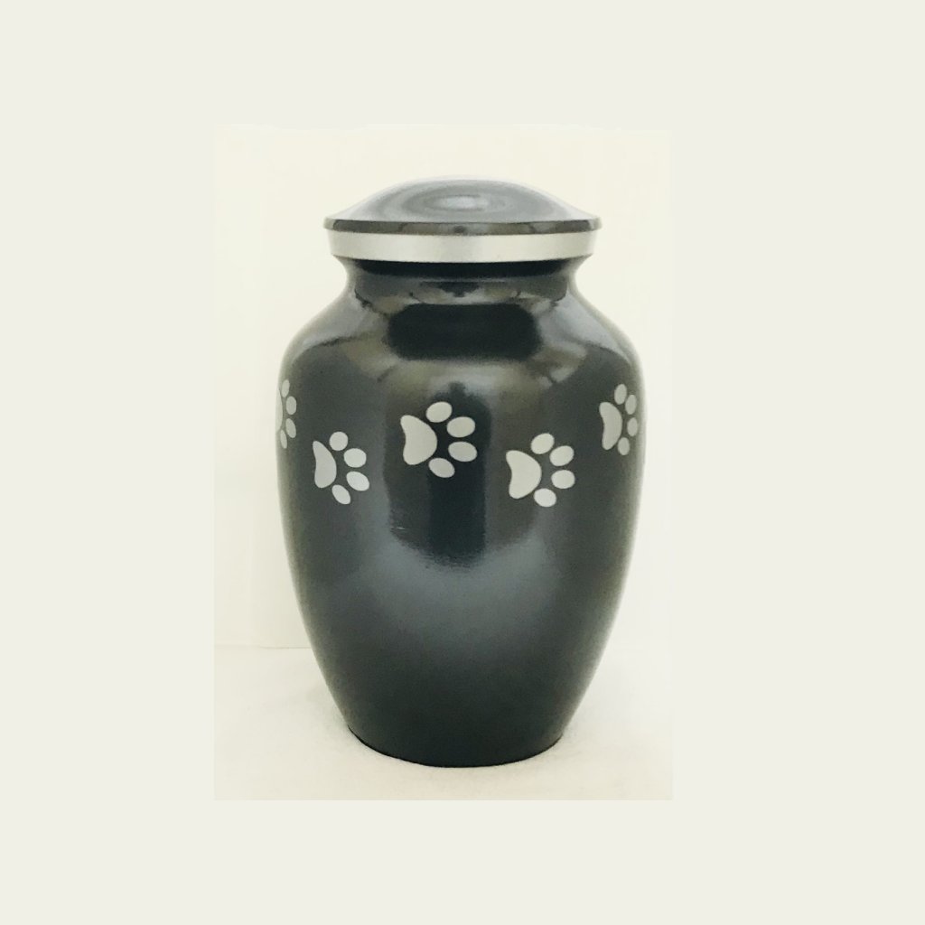 black cat urn black cat urn