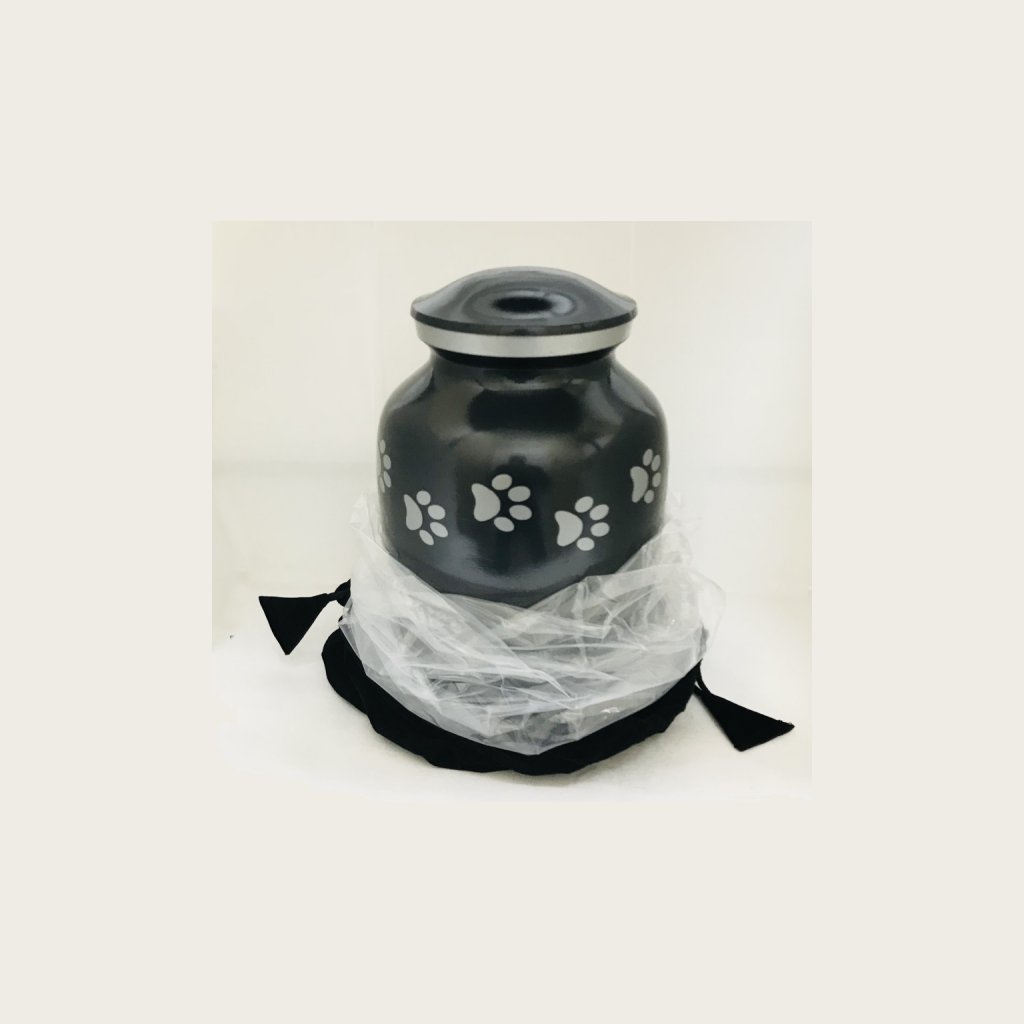 black cat urn black cat urn