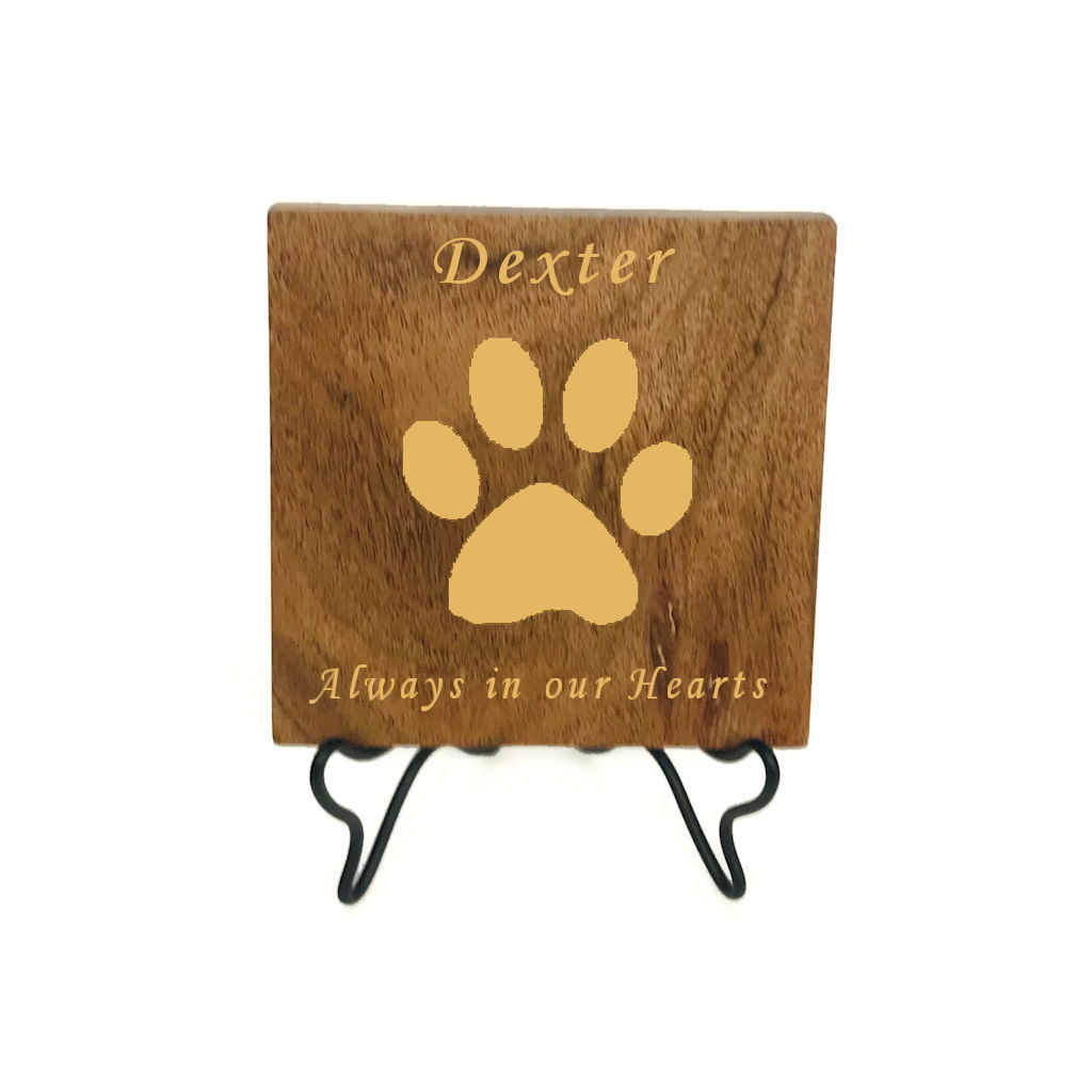 paw print display paw print display